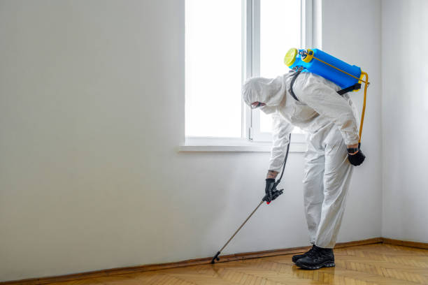 Pest Control for Warehouses in Miami Beach, FL